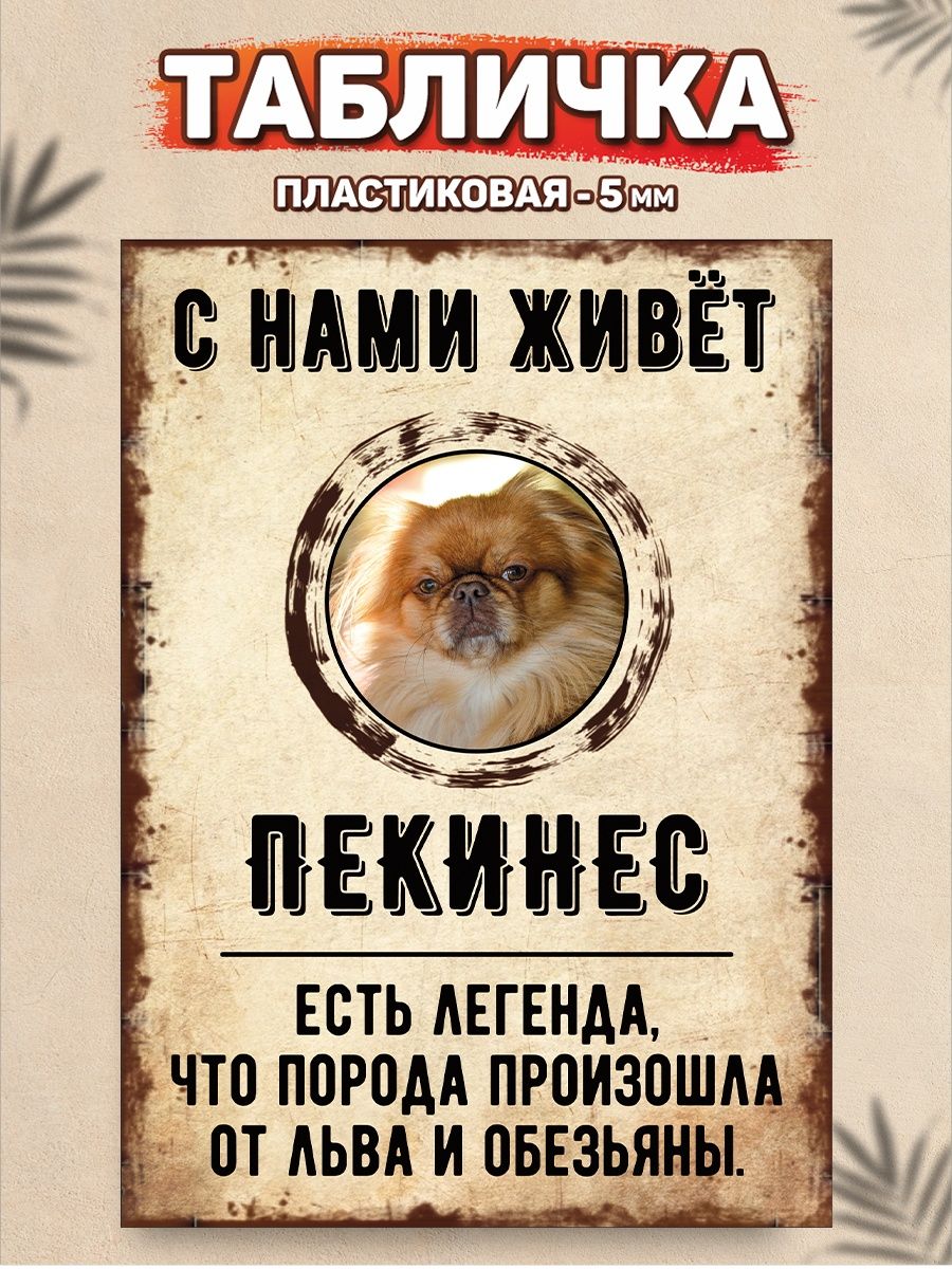 Табличка, Пекинес DANGER DOG осторожно злая собака 137651415 купить за 446  ₽ в интернет-магазине Wildberries