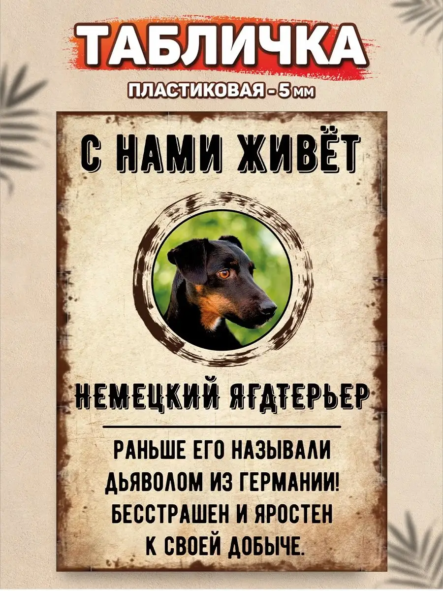 Табличка, Немецкий ягдтерьер DANGER DOG осторожно злая собака 137656226  купить за 446 ₽ в интернет-магазине Wildberries