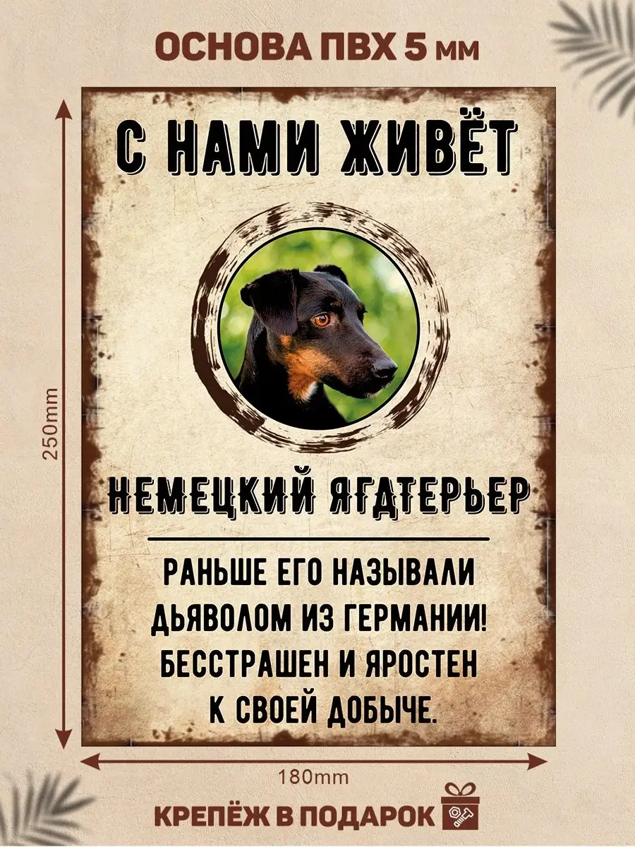 Табличка, Немецкий ягдтерьер DANGER DOG осторожно злая собака 137656226  купить за 446 ₽ в интернет-магазине Wildberries