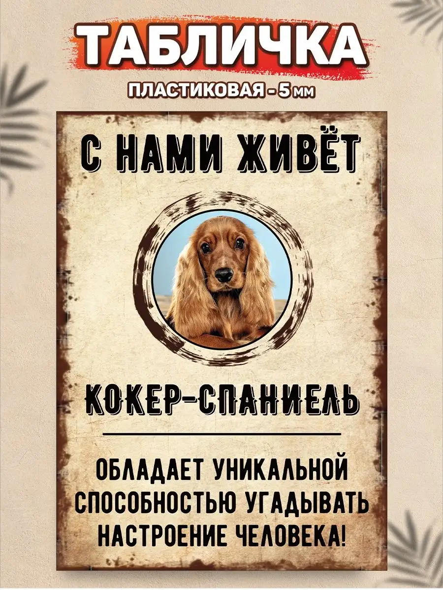 Табличка, Кокер-спаниель DANGER DOG осторожно злая собака 137658510 купить  за 421 ₽ в интернет-магазине Wildberries