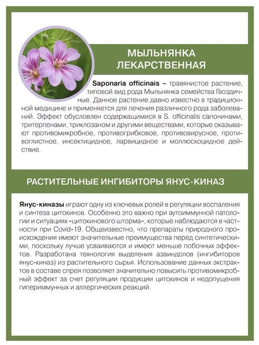 НИЦ ИММУНОЛОГИИ И АЛЛЕРГОЛОГИИ Противовирусное средство для носа, 30 мл, 2 шт, фото 6
