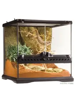 Террариум Exo-Terra Natural Terrarium 30х30х30см Hagen 137718179 купить за 12 006 ₽ в интернет-магазине Wildberries