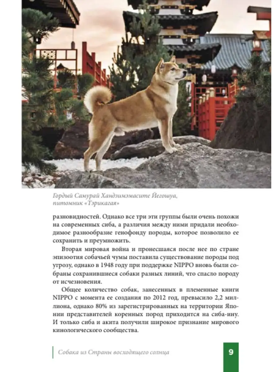 Книга Сиба-Ину . Руководство для владельца собаки DOG-ПРОФИ 137731203  купить за 1 014 ₽ в интернет-магазине Wildberries