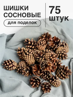 Шишки сосновые для поделок, декора, творчества 75 шт Nature craft 137752950 купить за 318 ₽ в интернет-магазине Wildberries