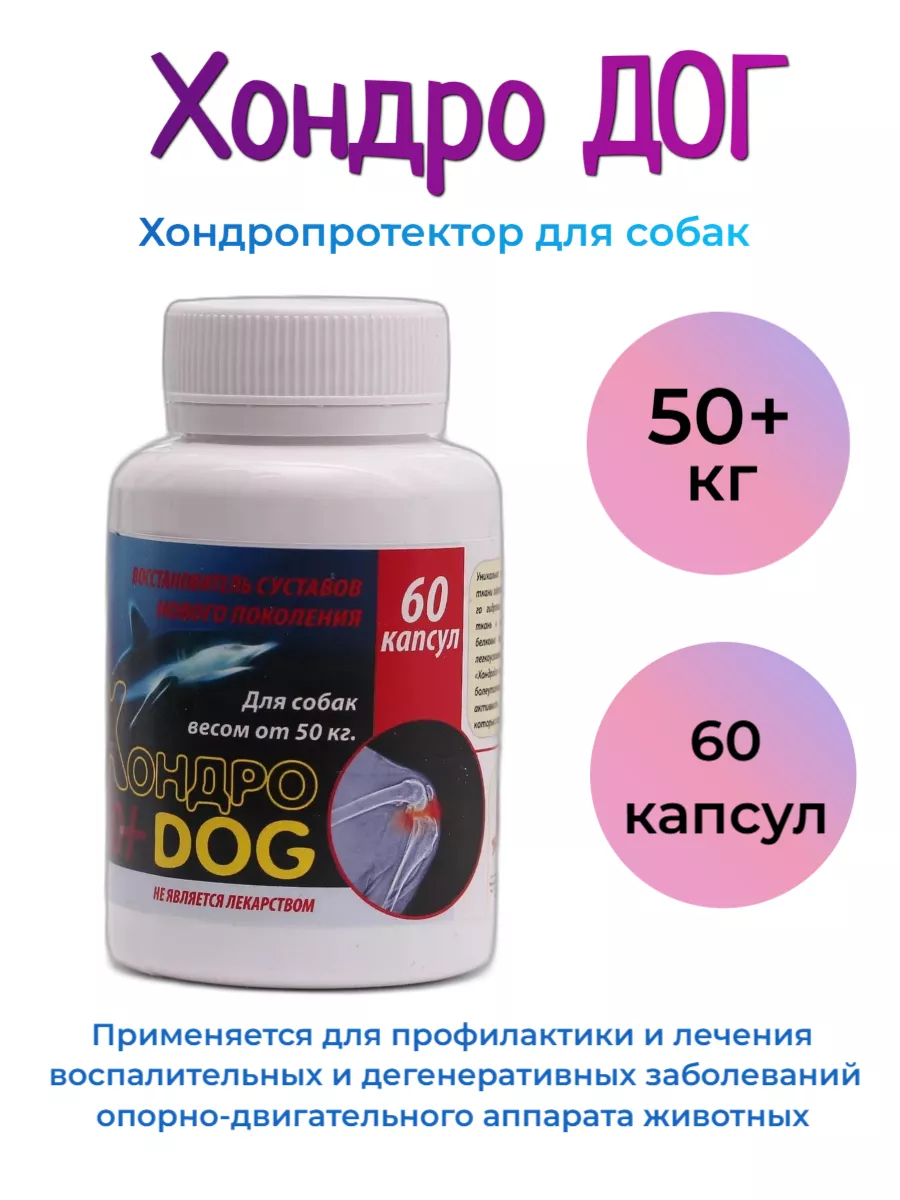 Хондропротектор ХондроДог 50+ 60 капсул для суставов собак Серебряный След  137759608 купить за 1 128 ₽ в интернет-магазине Wildberries