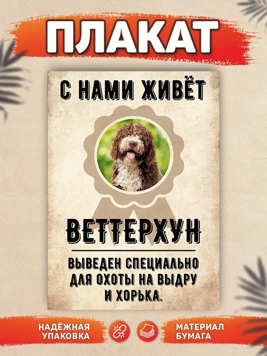 Плакат, С нами живет, Веттерхун DANGER DOG осторожно злая собака 137768976  купить за 440 ₽ в интернет-магазине Wildberries