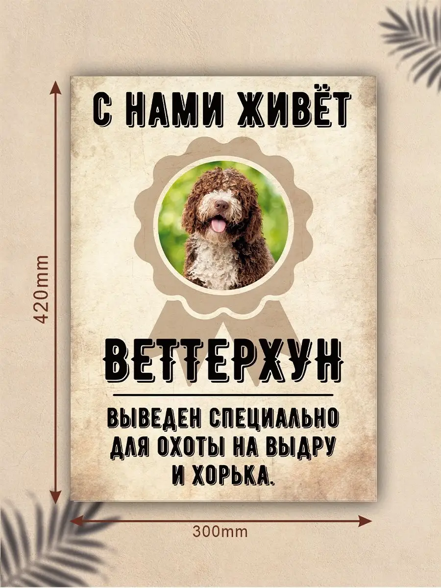 Плакат, С нами живет, Веттерхун DANGER DOG осторожно злая собака 137768976  купить за 440 ₽ в интернет-магазине Wildberries