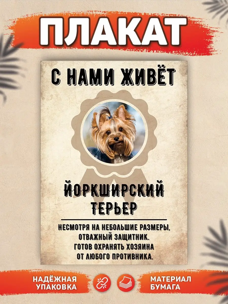 Плакат, Йоркширский терьер DANGER DOG осторожно злая собака 137769462  купить за 440 ₽ в интернет-магазине Wildberries