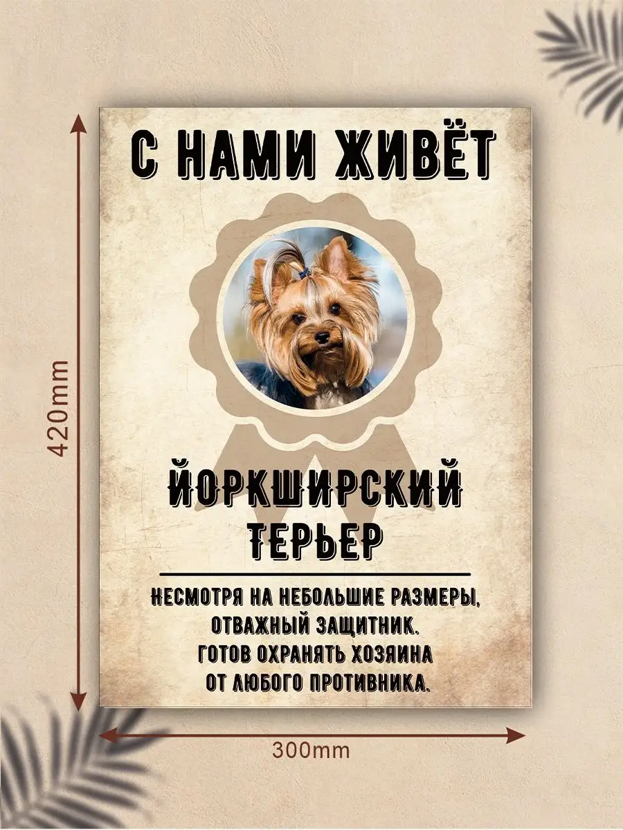 Плакат, Йоркширский терьер DANGER DOG осторожно злая собака 137769462  купить за 440 ₽ в интернет-магазине Wildberries