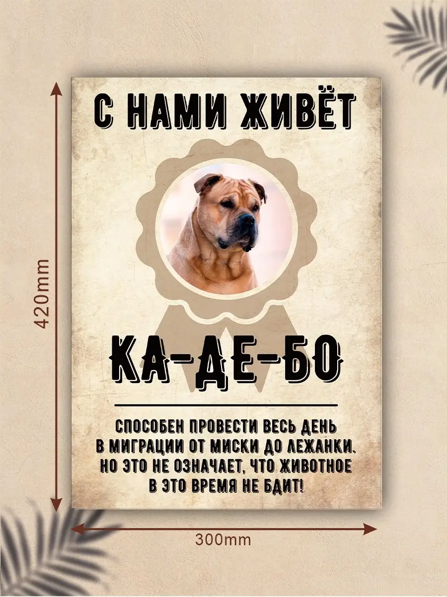 Плакат, Ка-де-бо DANGER DOG осторожно злая собака 137769478 купить за 440 ₽  в интернет-магазине Wildberries