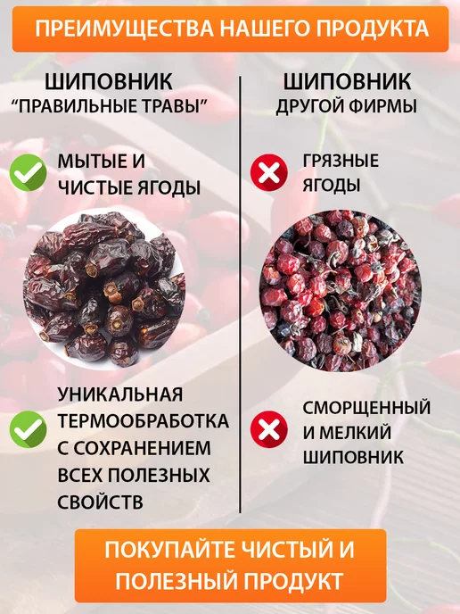 ПРАВИЛЬНЫЕ ТРАВЫ Шиповник сушеный отборный, ягоды плоды, вариант, фото 2