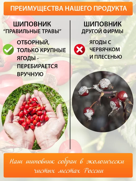 ПРАВИЛЬНЫЕ ТРАВЫ Шиповник сушеный отборный, ягоды плоды, вариант, фото 3