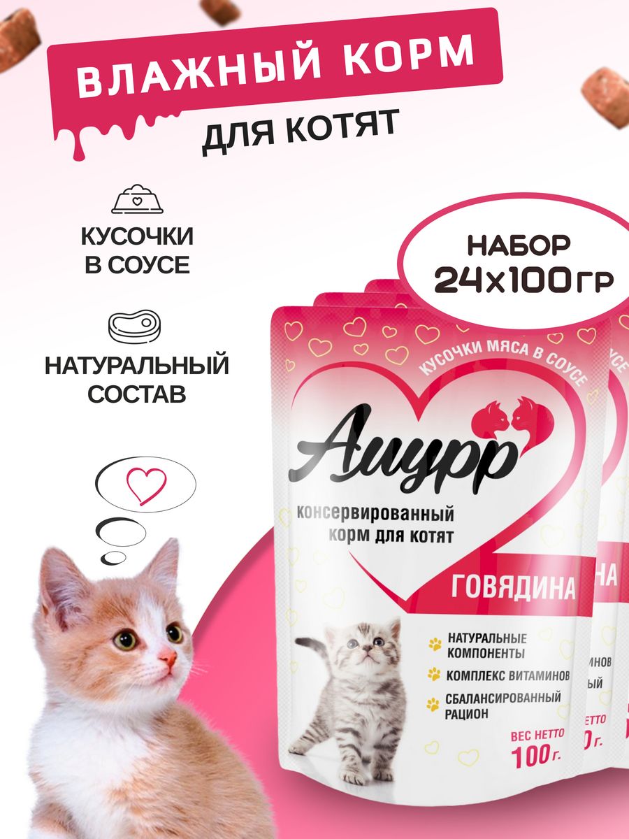 Можно ли коту говядину. Корм для котят с говядиной. Бульонтна говядине для кота.