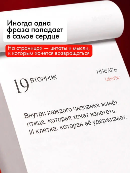 LifeSync Настольный отрывной календарь 2027 Life Sync, белый, фото 3