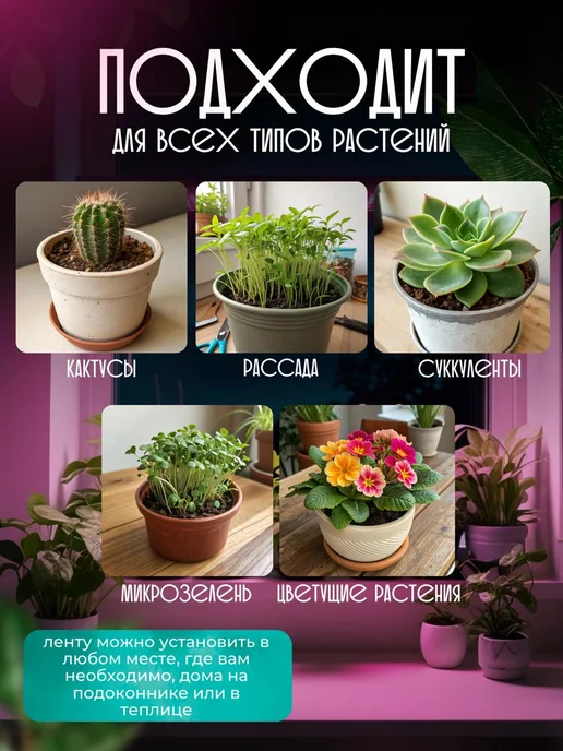 SALE24 Фитолента для растений и цветов светодиодная подсветка, вариант, фото 3