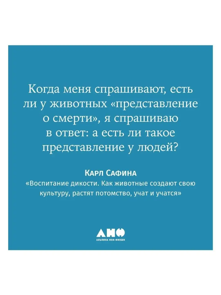 Воспитание дикости: Как животные создают свою культуру Альпина. Книги  137867573 купить за 585 ₽ в интернет-магазине Wildberries