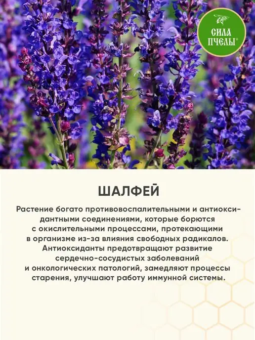 Сила Пчелы Спрей Прополисный для горла и полости рта, 30 мл, 30 мл, фото 8