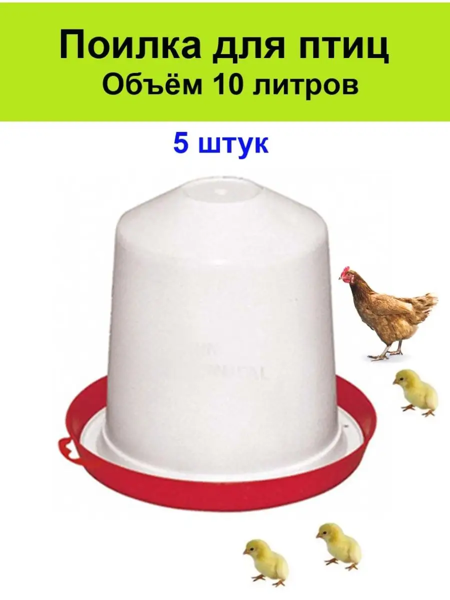 Купить Поилки, кормушки для домашней птицы в Ташкенте - вторсырье-м.рф