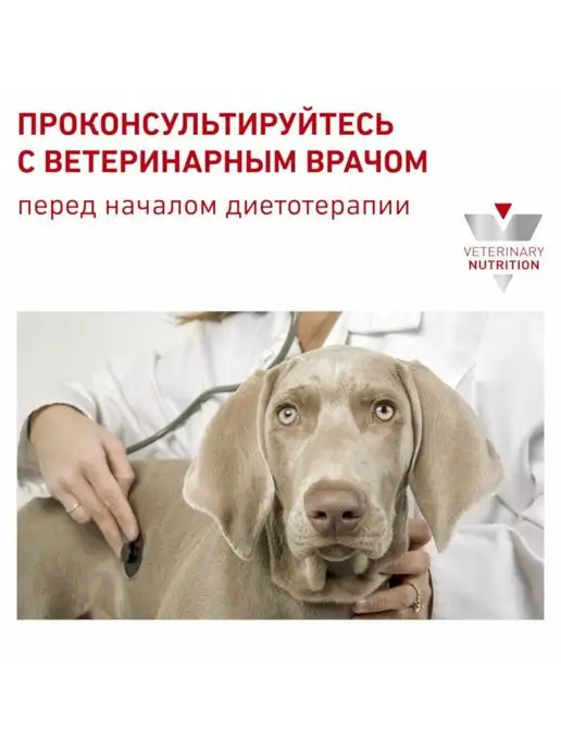 Сухой корм Royal canin Поддержание Печени для собак, 6 кг, фото 6