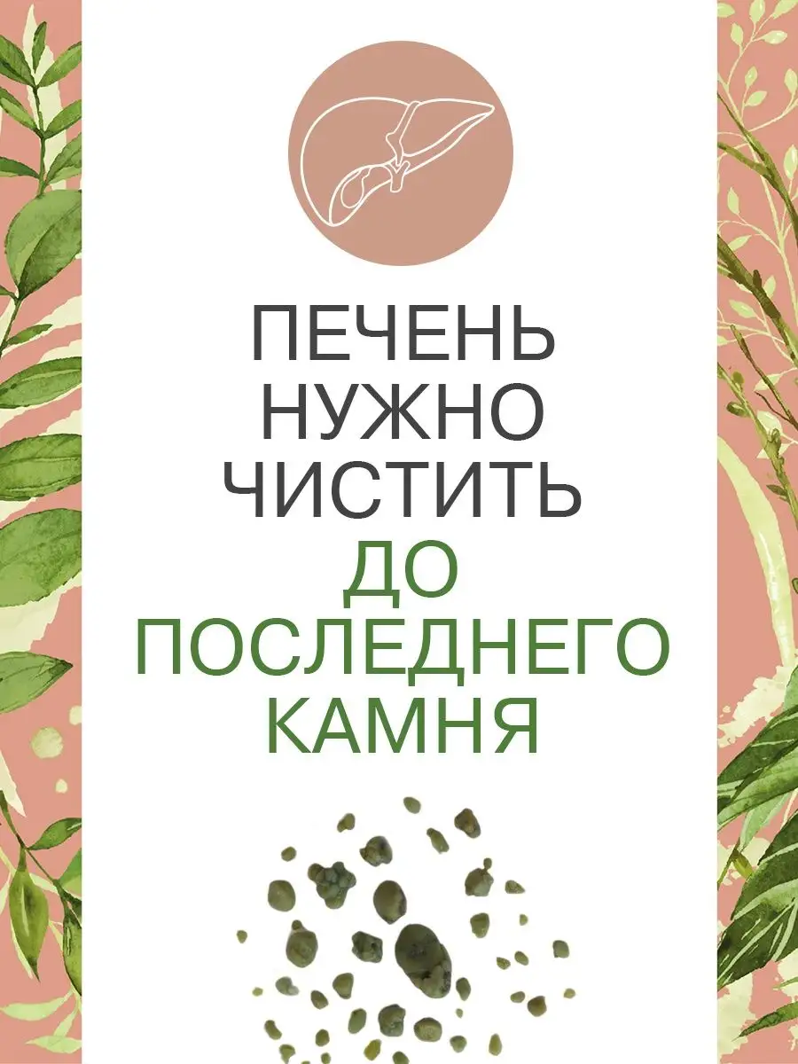 Набор Очищение печени База Фабрика Натуральных Продуктов 137881342 купить  за 4 231 ₽ в интернет-магазине Wildberries