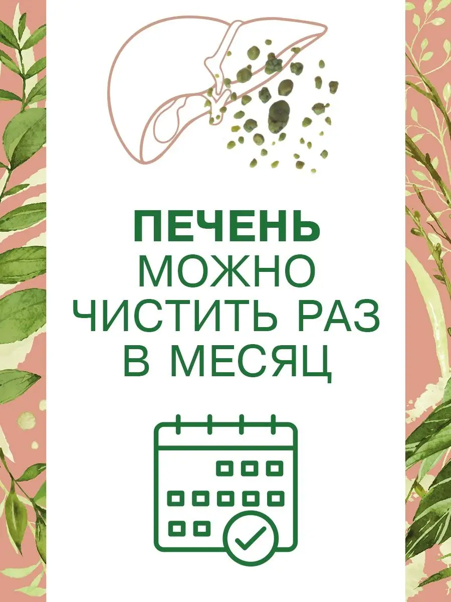 Набор Очищение печени База Фабрика Натуральных Продуктов 137881342 купить  за 4 231 ₽ в интернет-магазине Wildberries