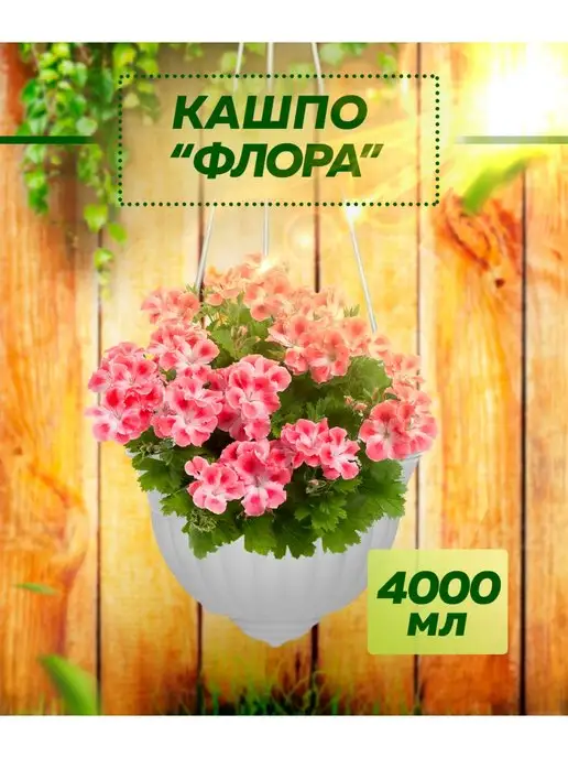 ABC Farben Кашпо горшок для цветов дома рассады пересадки подоконника, белый