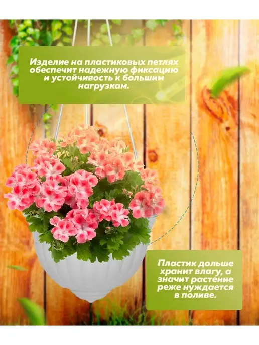 ABC Farben Кашпо горшок для цветов дома рассады пересадки подоконника, белый, фото 3