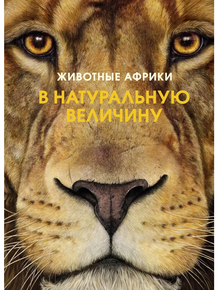 Животные Африки в натуральную величину Издательство Махаон 137975259 купить  за 897 ₽ в интернет-магазине Wildberries