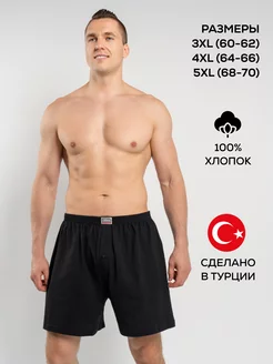 Трусы баталы Oztas 137975406 купить за 744 ₽ в интернет-магазине Wildberries