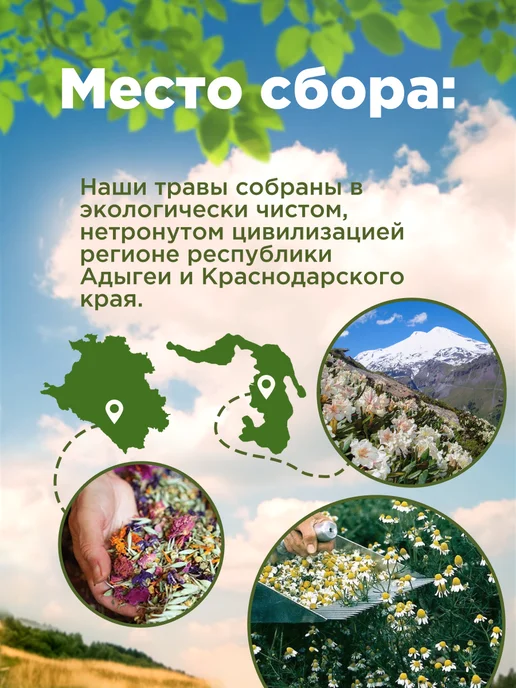 Родные травы Черный орех кожура околоплодник плоды от паразитов, черный, фото 2