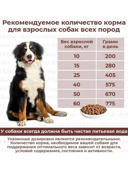 Сухой корм ДИЛЛИ Любых для собак, рыба, 14 кг, фото 4
