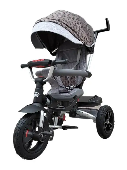 Sportsbaby Трехколесный велосипед Fly Dream MS-0765, серый