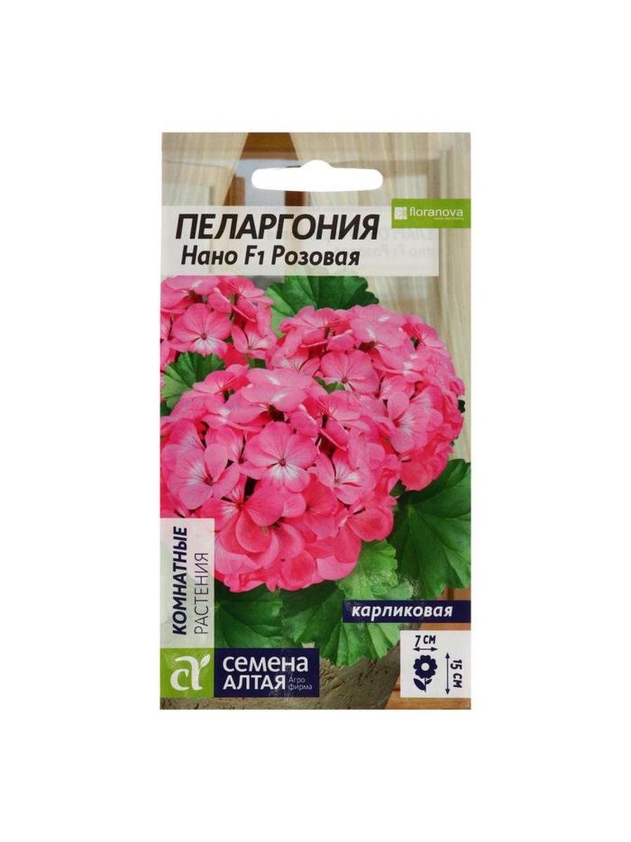 Пеларгония алтая