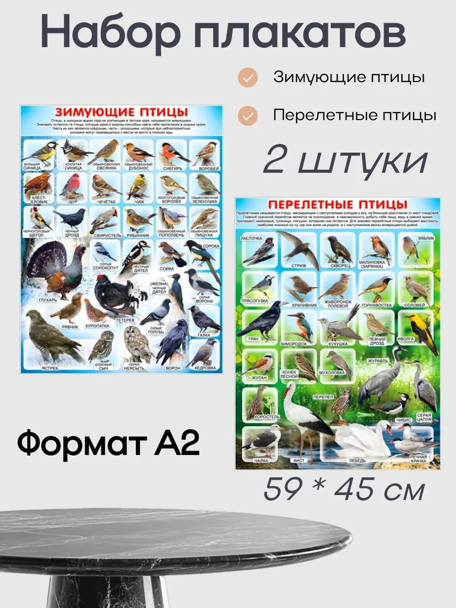 Детские плакаты на стену обучающие для школы 1 2 3 4 класс