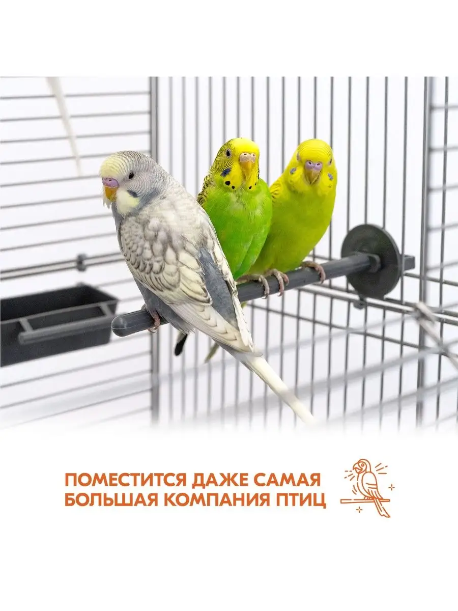 Варианты самодельных клеток для попугаев