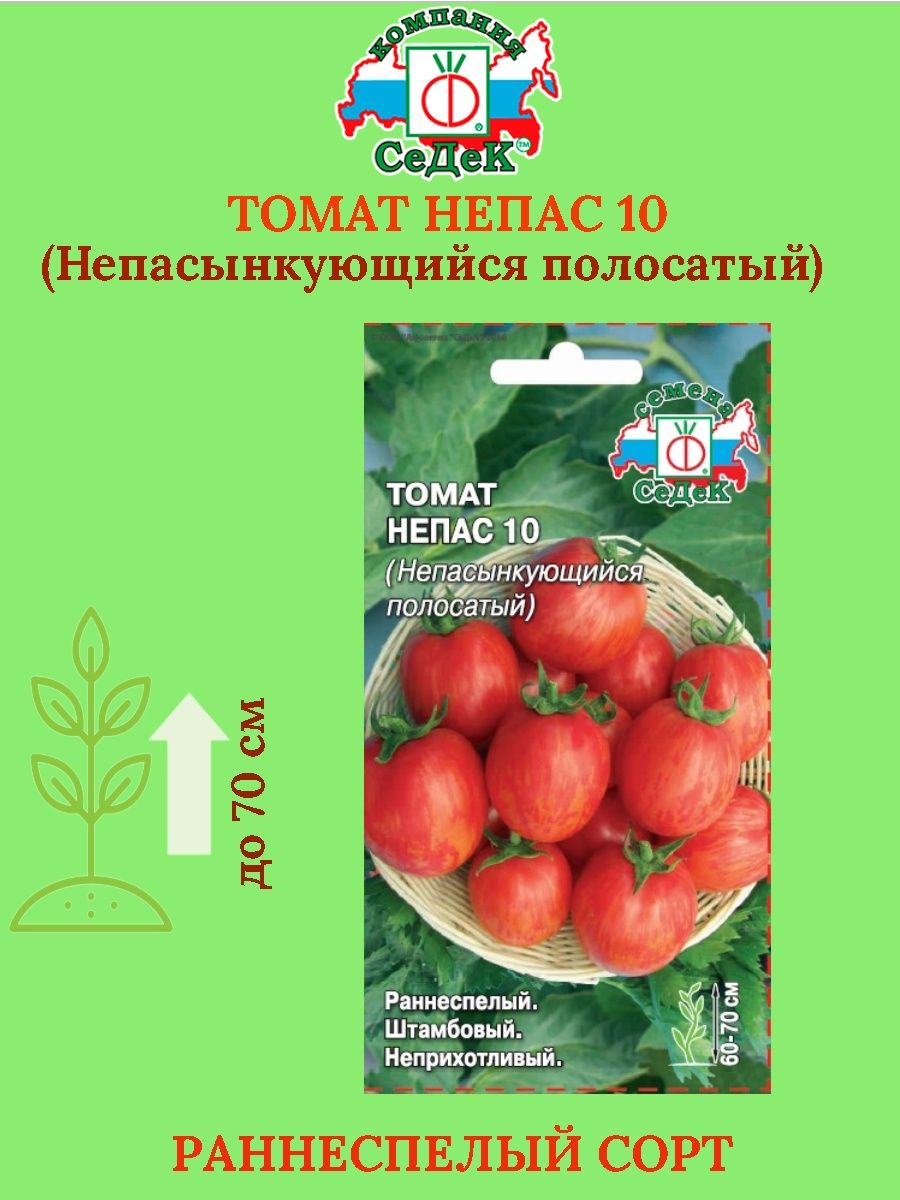 Томат непас 6. Непас 10. Томат Непас 10 (Непасынкующийся полосатый). Томат Непас полосатый. Томат Непас 2.