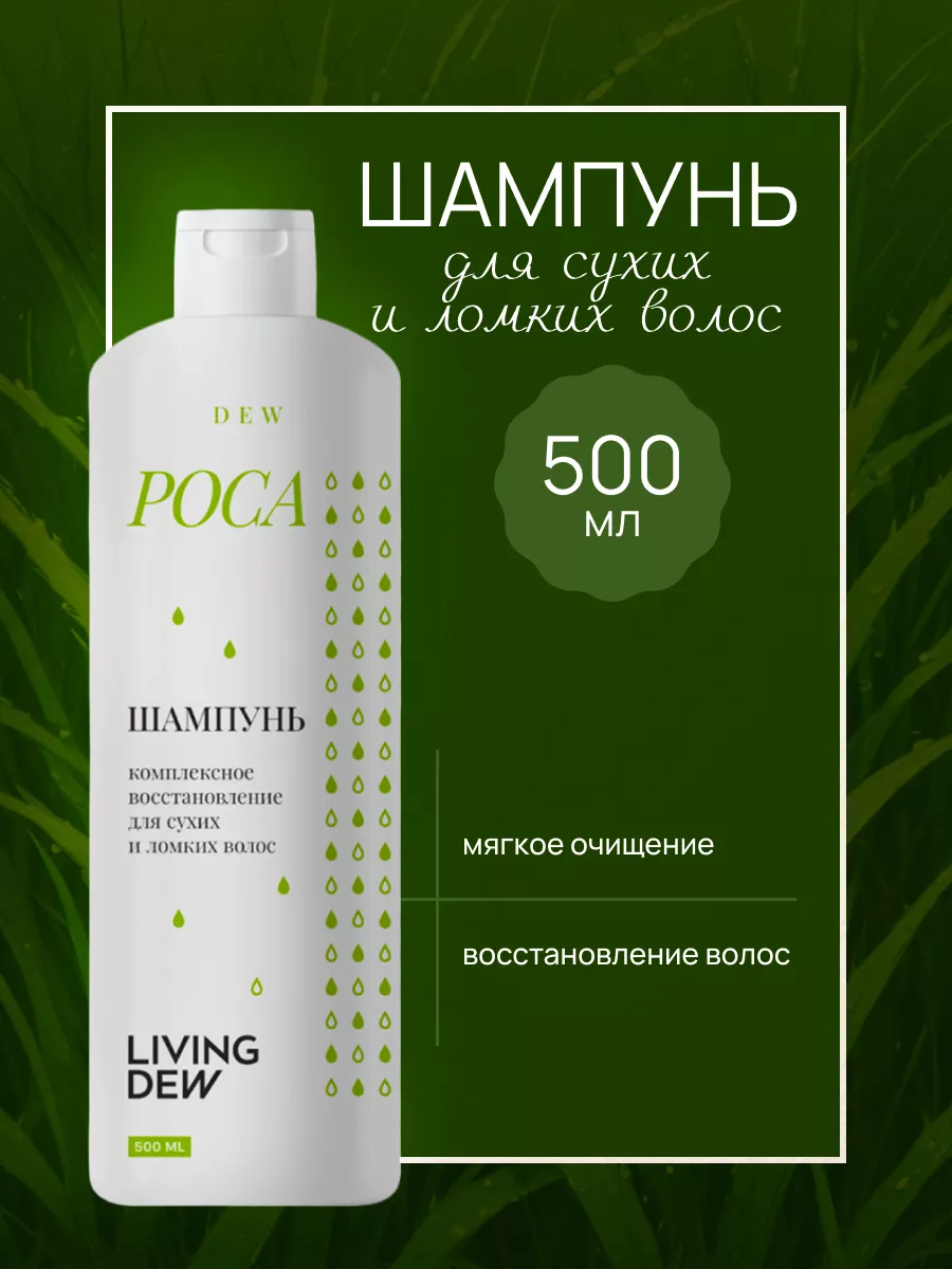 Шампунь для сухих и ломких волос LIVING DEW 138026519 купить за 250 ₽ в  интернет-магазине Wildberries