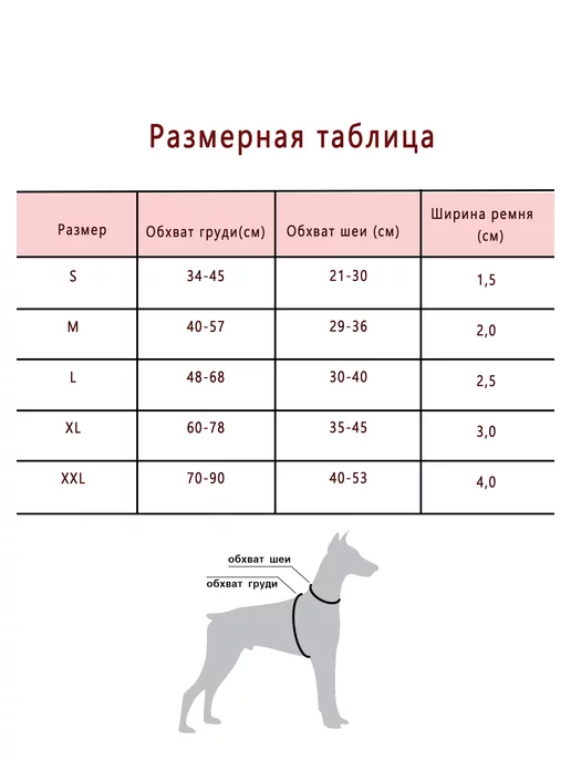 HitZen Ошейник, шлейка, поводок для собак. Набор для собак, зеленый, фото 2