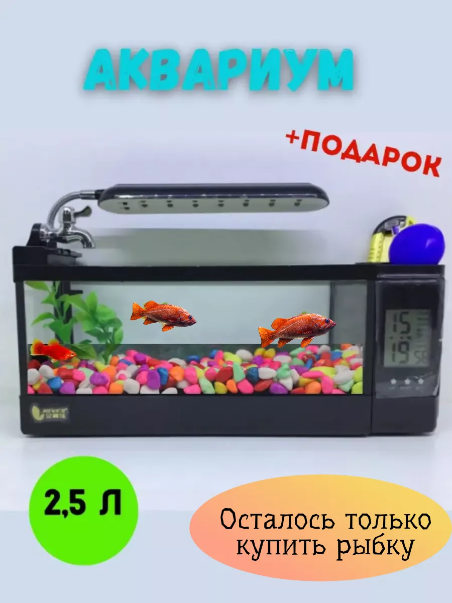 Аквариум для рыбок маленький настольный с освещением