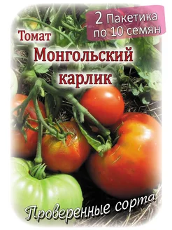 Томат - Монгольский карлик - 2 пакета Проверенные семена 138115581 купить за 175 ₽ в интернет-магазине Wildberries