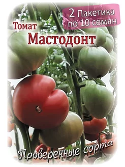 Томат - Мастодонт - 2 пакета Проверенные семена 138115619 купить за 226 ₽ в интернет-магазине Wildberries