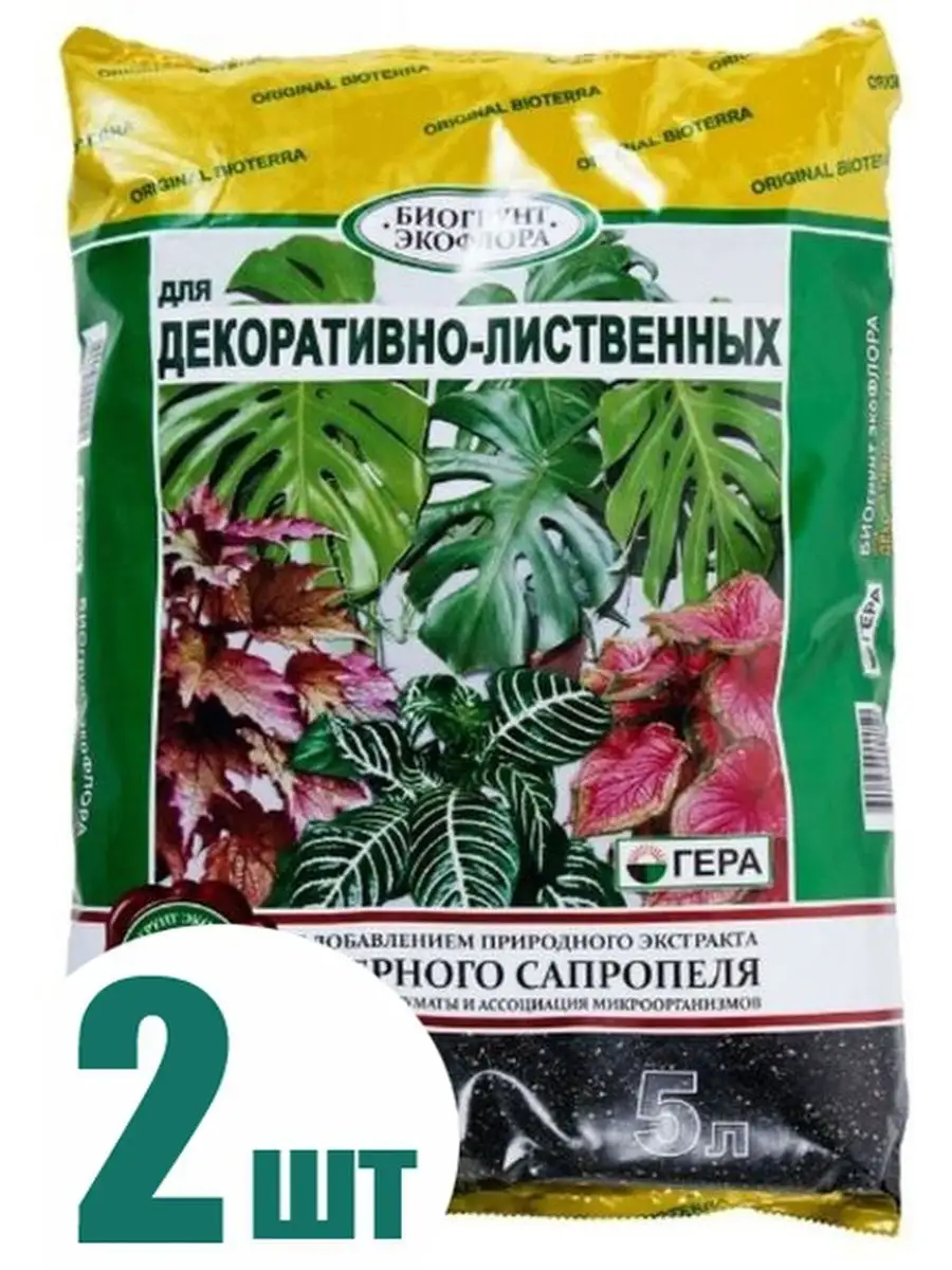 Клещевина цветок многолетний. Семена декоративно лиственных. Перилла овощная красная. Семена декоративно лиственных. Декоративные семечки разноцветные.