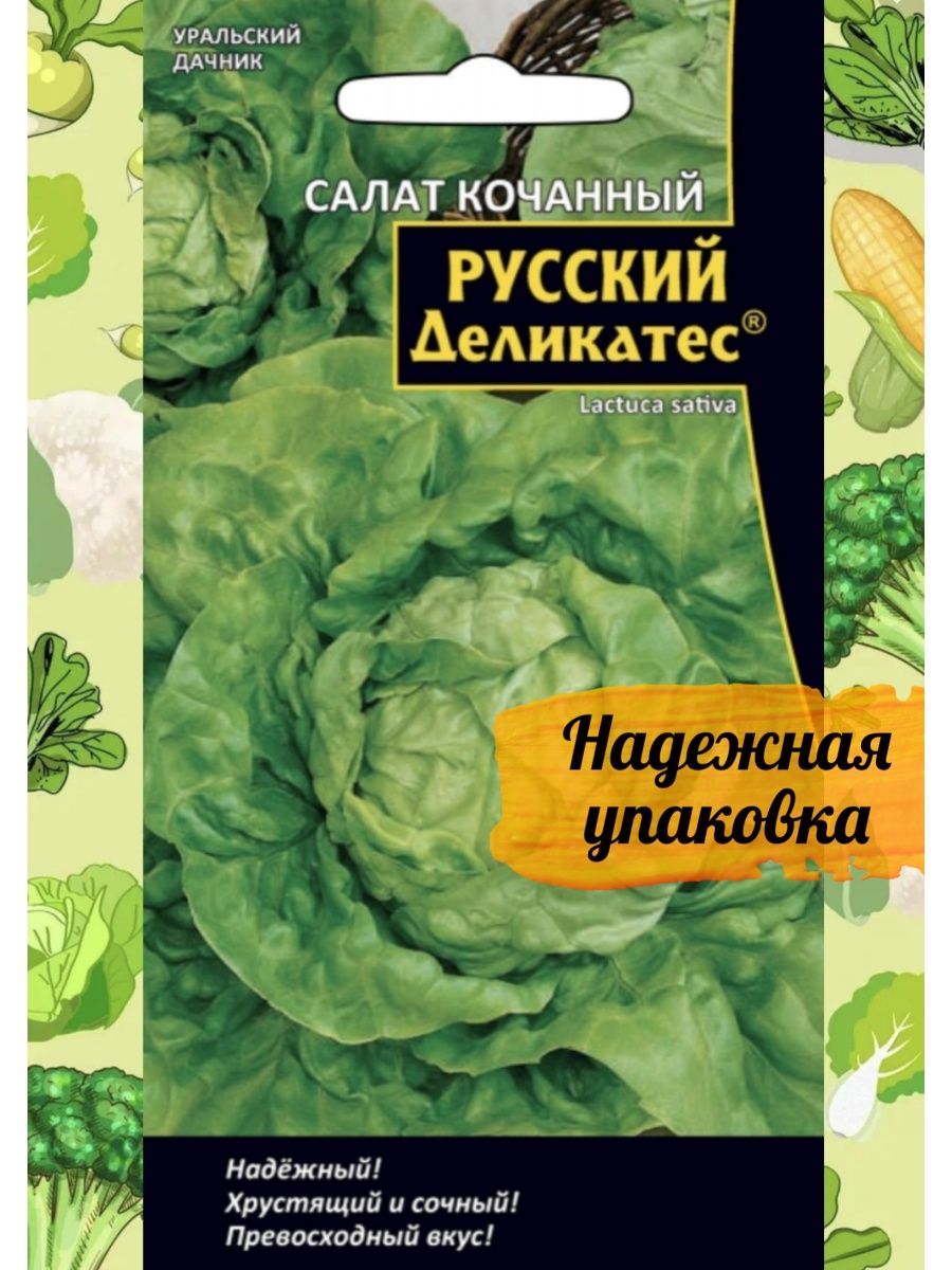 Уральские семена отзывы. Салат кочанный русский деликатес. Салат кочанный.