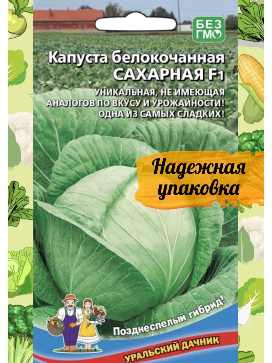 Уральские семена отзывы. Капуста белокочанная сахарная. Семена Уральский Дачник. Капуста белокочанная сахарное сердце f1. Капуста белокочанная сахарная диабет.