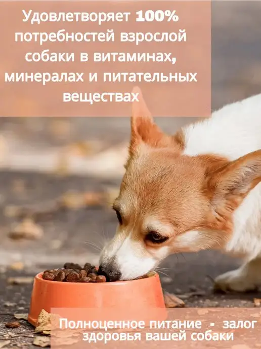 Сухой корм ДИЛЛИ Печень Овсянкой для собак, 1 кг, фото 2