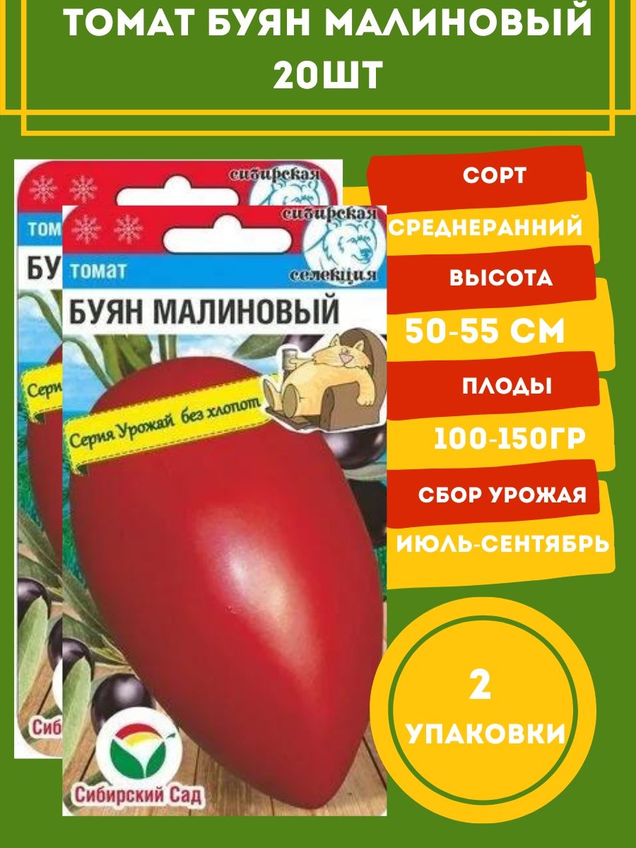 Буян красный томат описание. Томат Буян малиновый. Помидоры боец Буян. Томат Буян красный. Томат Буян желтый.