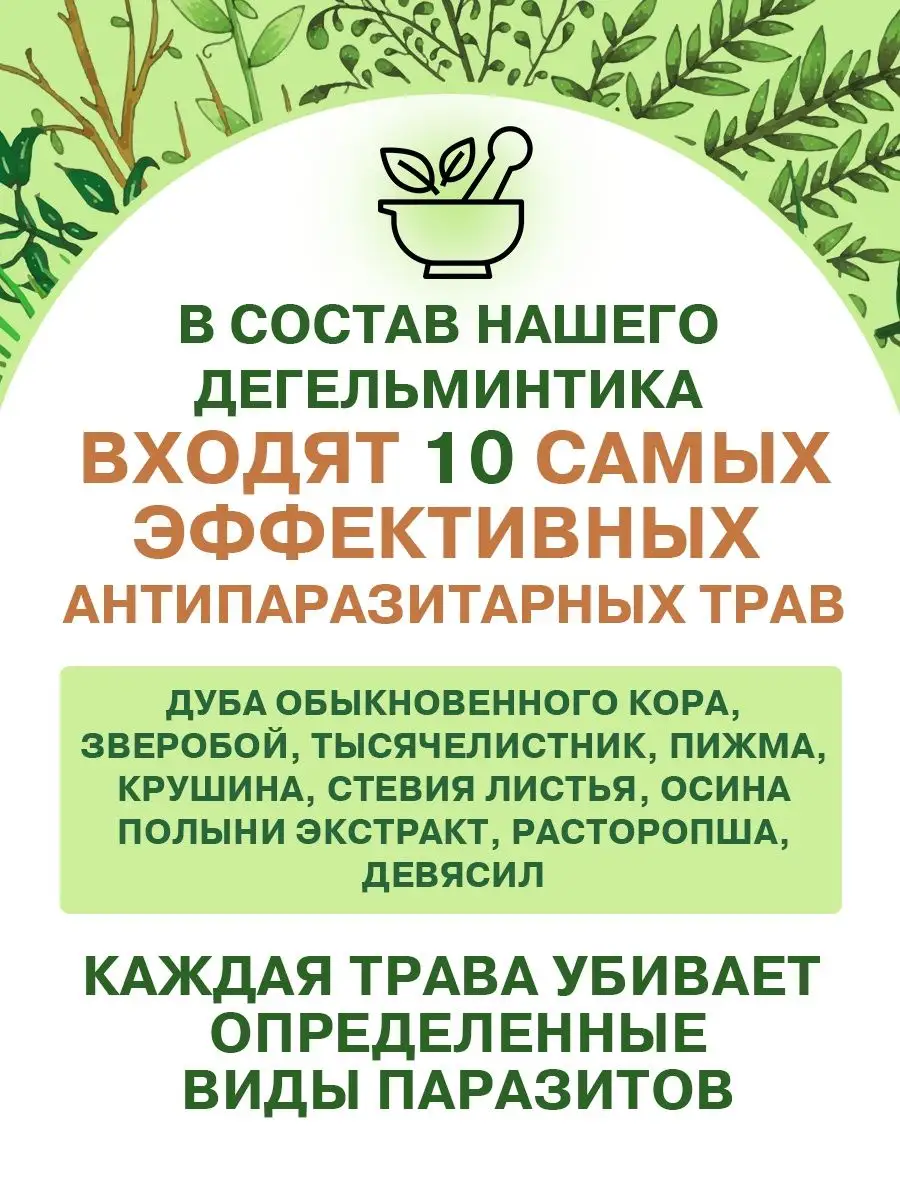 Дегельминтик, антипаразитарный комплекс Фабрика Натуральных Продуктов  138207924 купить в интернет-магазине Wildberries