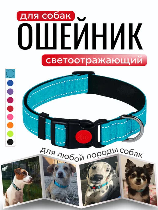 ZebraZoo Ошейник для собак крупных и средних, голубой