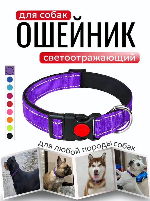 ZebraZoo Ошейник для собак крупных и средних, фиолетовый