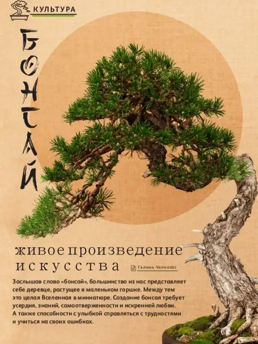ДУМАЙ Научно-популярный журнал "ДУМАЙ"-№41, №39, фото 2